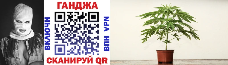 цена Гай Конопля сатива